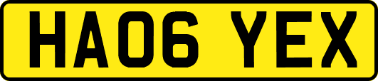 HA06YEX