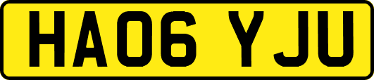 HA06YJU