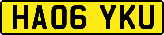 HA06YKU