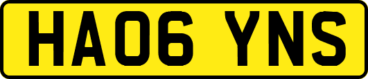 HA06YNS