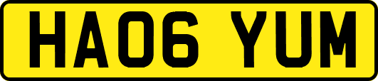 HA06YUM