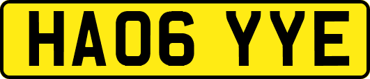 HA06YYE