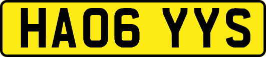 HA06YYS