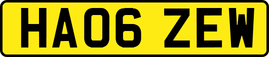 HA06ZEW
