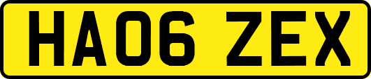 HA06ZEX