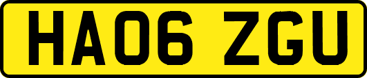 HA06ZGU