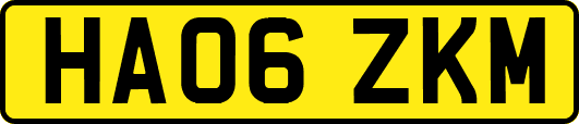 HA06ZKM