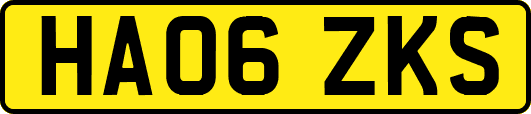 HA06ZKS