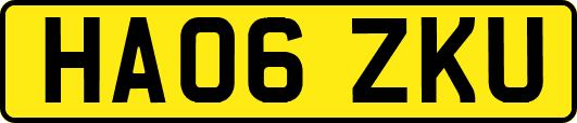 HA06ZKU