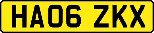 HA06ZKX
