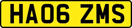 HA06ZMS