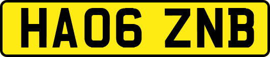 HA06ZNB