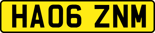 HA06ZNM
