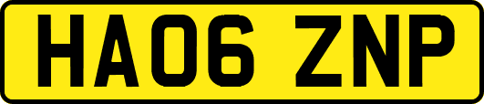 HA06ZNP