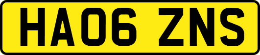 HA06ZNS