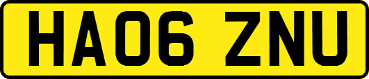 HA06ZNU
