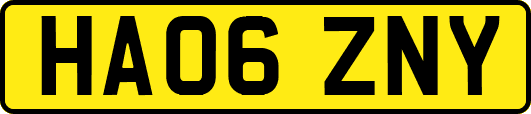 HA06ZNY