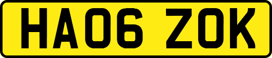 HA06ZOK