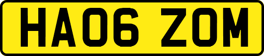 HA06ZOM