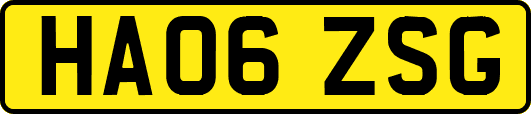 HA06ZSG