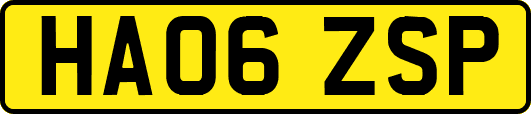 HA06ZSP