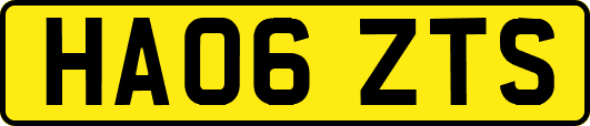 HA06ZTS