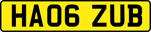 HA06ZUB