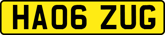 HA06ZUG