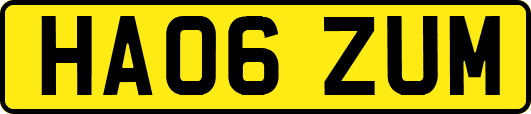HA06ZUM