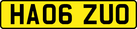 HA06ZUO