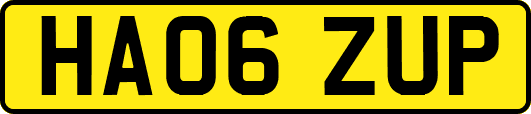 HA06ZUP