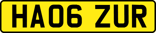 HA06ZUR