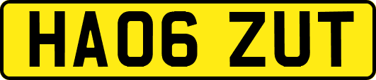 HA06ZUT