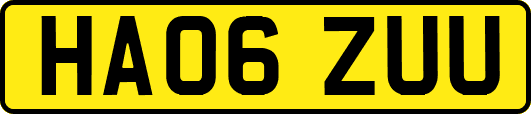 HA06ZUU