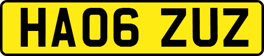 HA06ZUZ