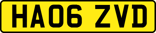 HA06ZVD