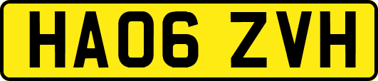 HA06ZVH