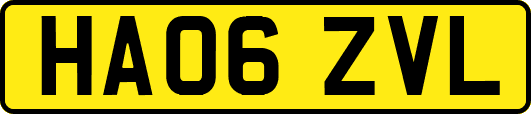 HA06ZVL