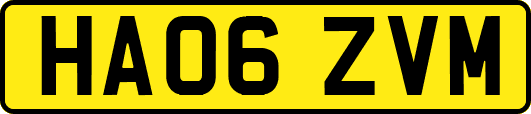 HA06ZVM