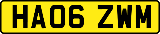 HA06ZWM
