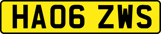 HA06ZWS