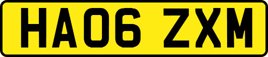 HA06ZXM