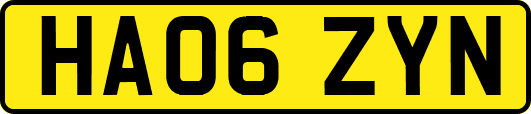 HA06ZYN