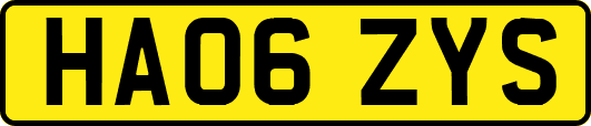 HA06ZYS