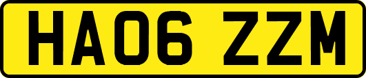 HA06ZZM