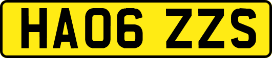 HA06ZZS