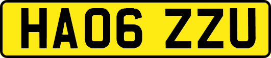 HA06ZZU