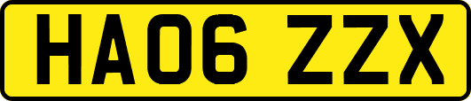 HA06ZZX