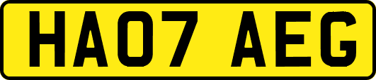 HA07AEG