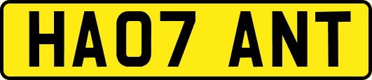 HA07ANT